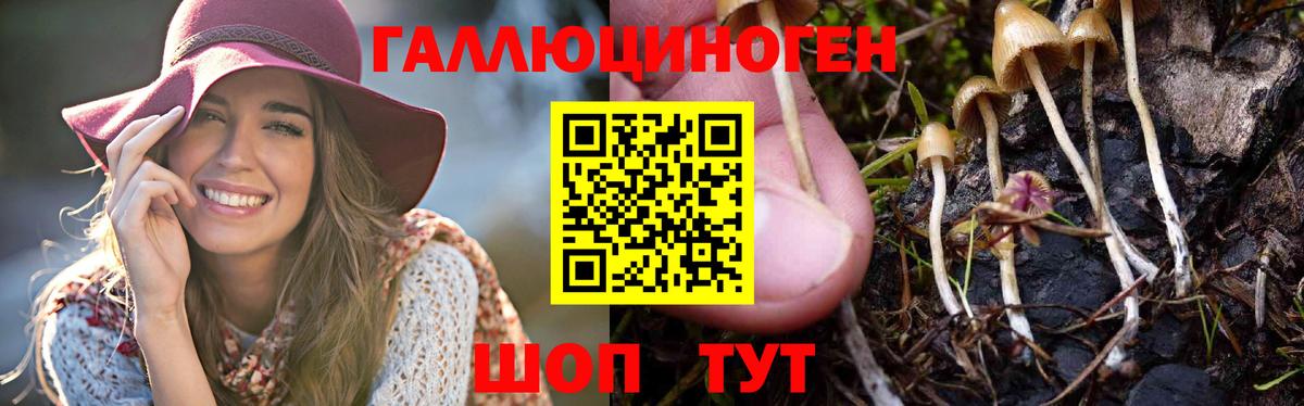 Галлюциногенные грибы Magic Shrooms  Вход с VPN  Лениногорск  Псилоцибиновые грибы Cubensis 